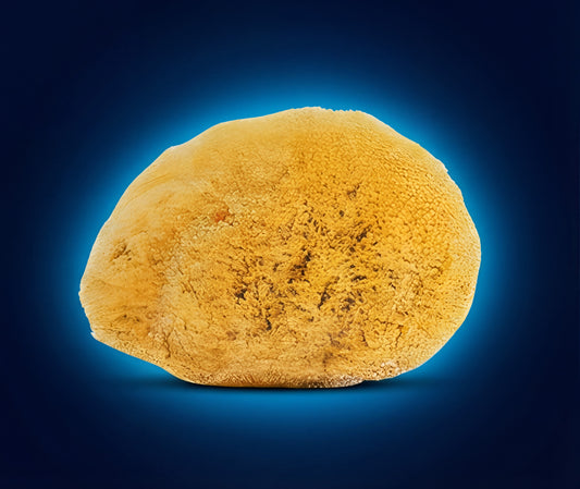 Mini Facial Silk Sponge